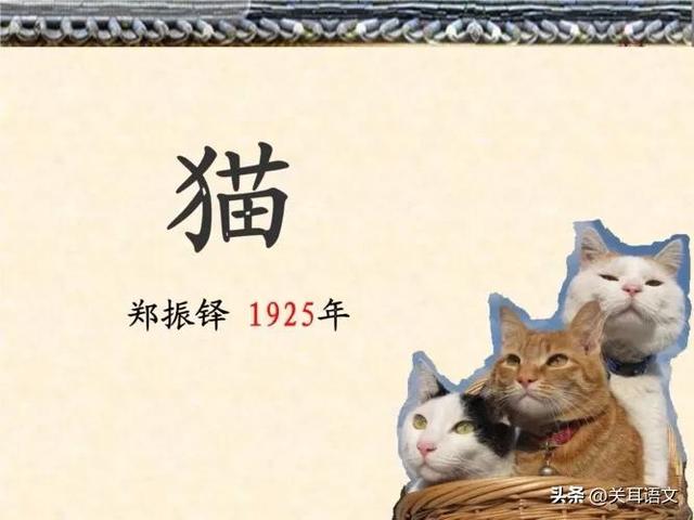 《猫》的教学反思怎么写，我是猫教学反思（《猫》第2课时教学后记）