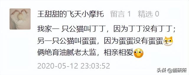 新浪微博名字大全，好听的新浪微博名字大全（让所有人都笑死在这些沙雕名字里）