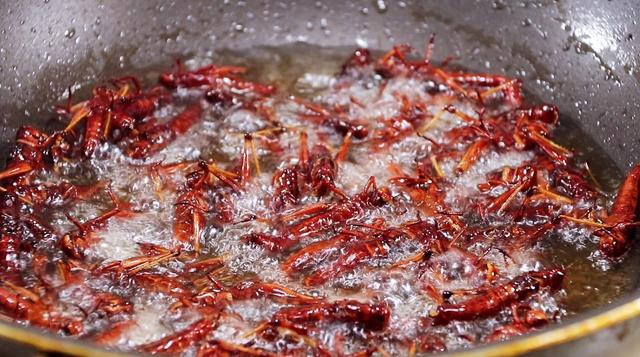 蚂蚱怎么做好吃（吃牛羊肉不如多吃这虫子）