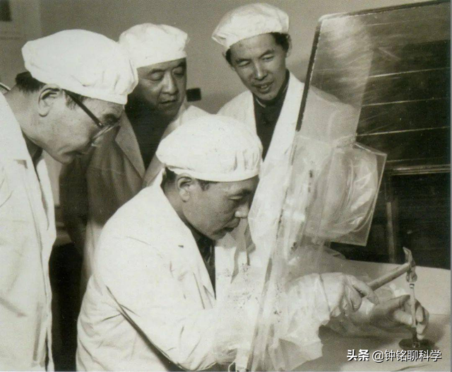 陨石为什么会坠落，陨石为什么会坠落地球而不是太阳（陨石真比黄金值钱吗）