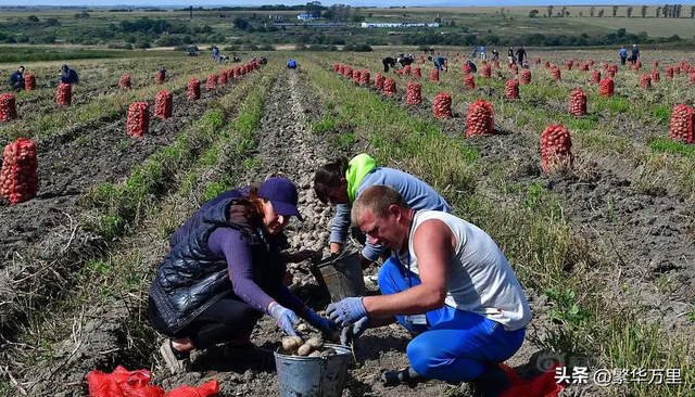 俄罗斯有多少人口2022总人数，俄罗斯总人口有多少人（为何人口少得可怜）