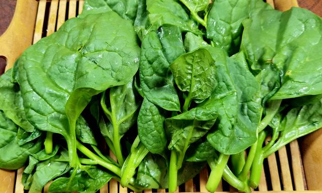 帝王菜是什么菜，皇帝菜性寒吗（可惜很多人不懂吃）