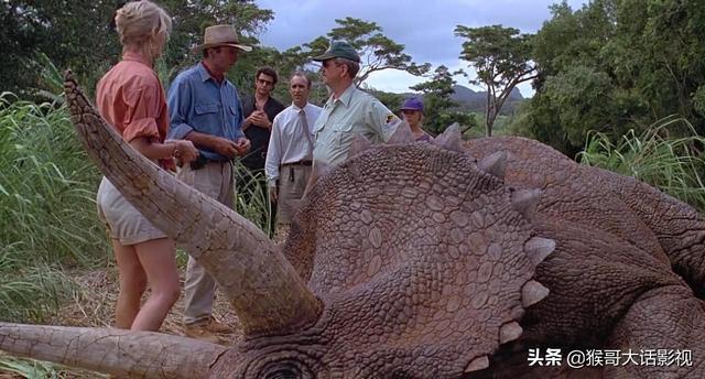 杨海音个人资料，杨海音（《侏罗纪公园》译制资料整理）