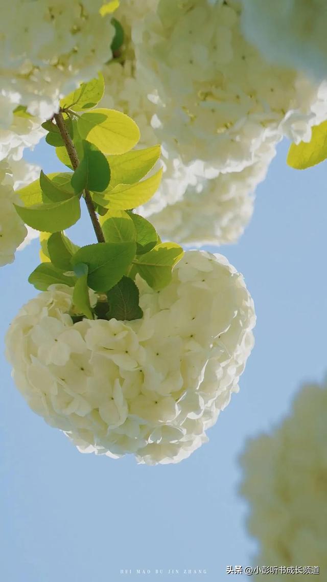 十二星座的真正性格，十二星座的性格脾气（十二星座各自的性格解析）