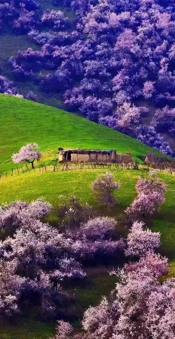 春天去哪里旅游好，这才是春天最值得去的20个地方（中国最美的30个地方）