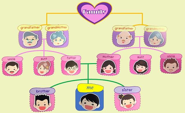 妹妹英文怎么说，年幼的妹妹英文怎么说（用英语怎么说，half）