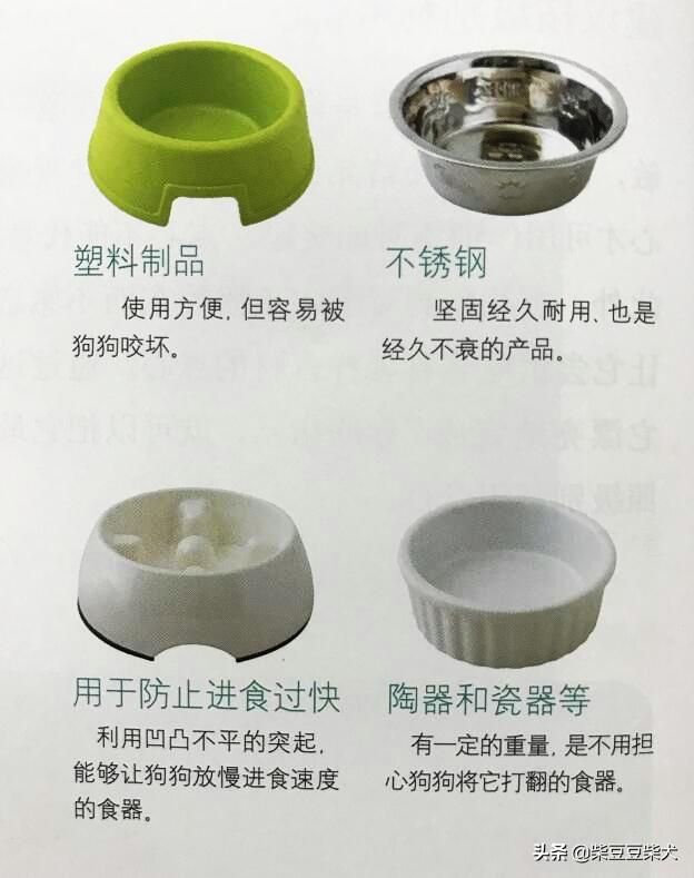 柴犬用什么样的饭盆好？狗狗喂食饭碗的选择