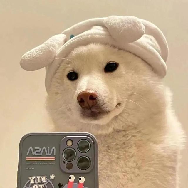 哈利波特情头，微信头像，哈利波特情头（收藏多年的情侣头像）