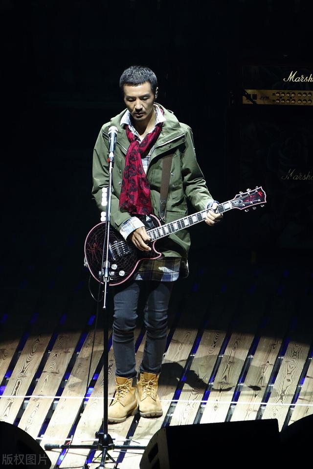 朴树的简介和简单栽培,歌唱家朴树简介(你就听懂了人生)