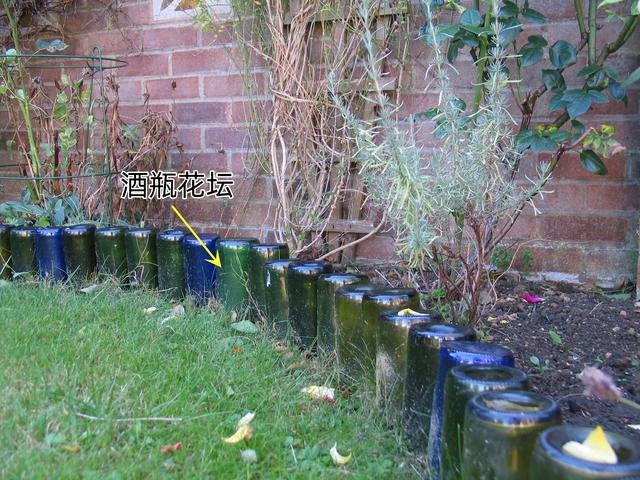 怎么折花简单好看，怎么折花简单好看的（旧盘子插成一圈）