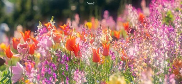 泡泡吹泡泡网名，泡泡吹泡泡微信昵称（充满夏天气息的女生网名）