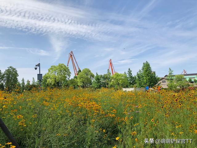 夏季玩转色彩搭配，适合夏天的颜色搭配（五彩斑斓）