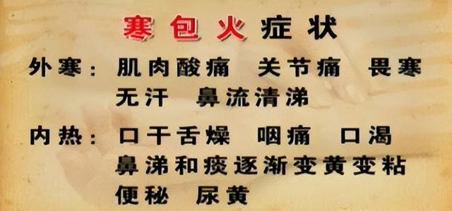 常见的热型有哪些，常见的热型有哪些及临床意义（还有容易被大家忽略的表寒里热）