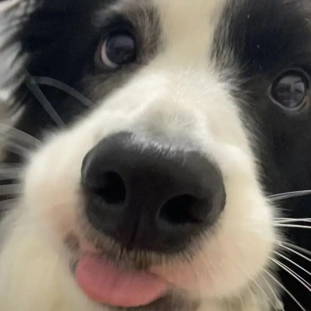 也许放弃才能靠近你，也许放弃 才能靠近你，微信头像（人生才几年不能因为找不到对象而放弃自己）