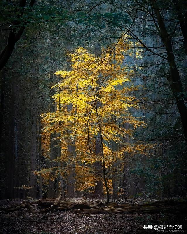 怎么拍照片好看，拍照怎么拍的好看（试试这9个教科书式摄影技巧）