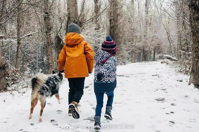 Dickies属于什么档次，Dickies是大牌吗（Patagonia、北面们在中国迎来黄金时代）