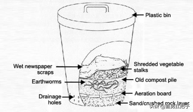红蚯蚓养殖方法，你不得不了解的知识