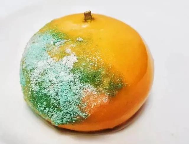 谐音梗是什么意思，有趣的网络谐音梗