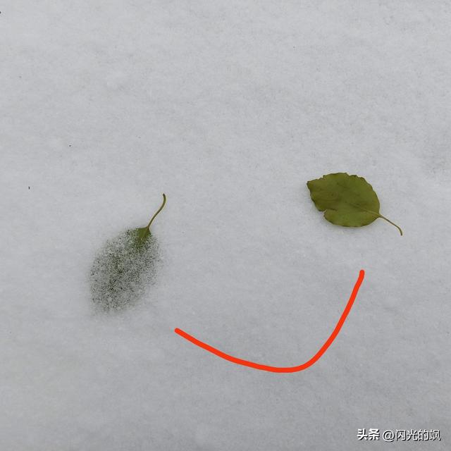 一年级作文30字，一年级短篇故事（2023.1.15周记）