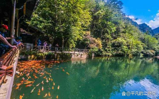 浙江丽水特色景点，丽水——被誉为“浙江绿谷”