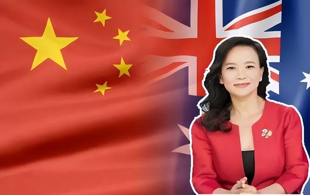 间谍是国家培养还是自愿的，中国哪些大学是培养间谍的（央视主持成蕾：卧底20年）