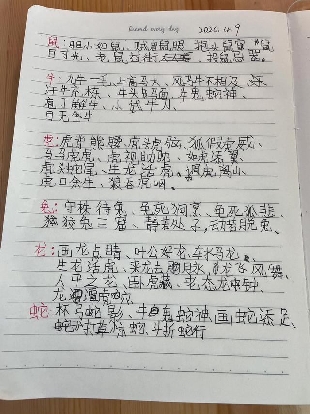 子鼠丑牛顺口溜朗读，子鼠丑牛顺口溜有哪些（关于十二生肖的常用必考成语）