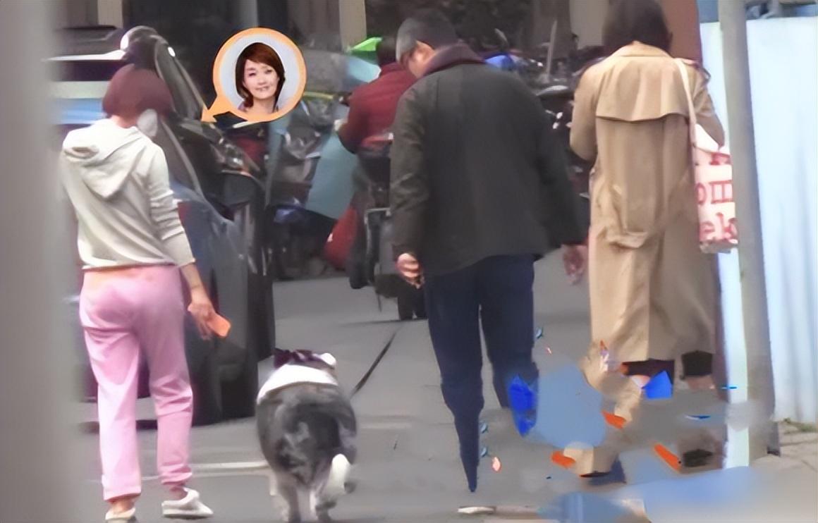 马伊琍的现任老公是谁，马伊琍第一任丈夫是谁（男方头发花白高大壮硕）