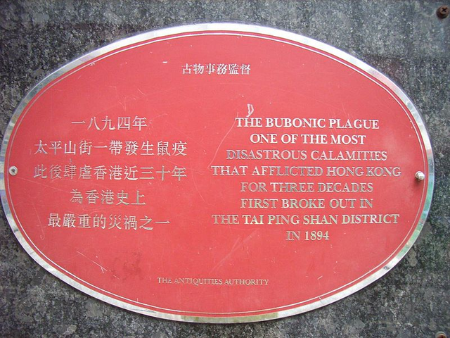家里有老鼠怎么办能除根 家里老鼠太多怎么消灭，家里有老鼠怎么办能除根（扑灭一只老鼠成本超万元）