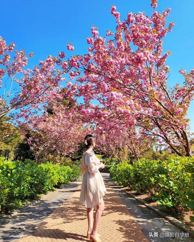 好看的拍照姿势，拍照摆什么姿势好看（这8套摄影摆姿势技巧）