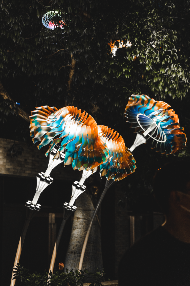 深圳海洋世界攻略，海洋馆、水秀剧场、梦幻巡游…在这里全都有