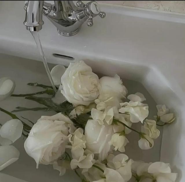 朋友圈封面 | 甜甜的文字控背景图，朋友圈封面尺寸（适合发朋友圈的浪漫文案）