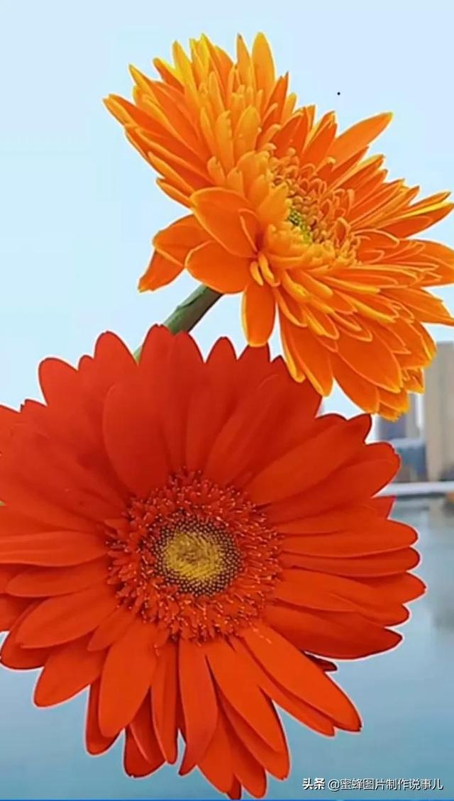 风景美图，风景美图壁纸（鲜花争艳，美景如画，过目不忘）