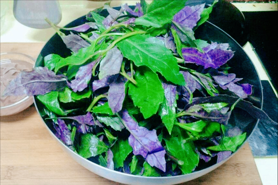 白菜可以生吃吗，黄心白菜可以生吃吗（有“大毒”的5种蔬菜）