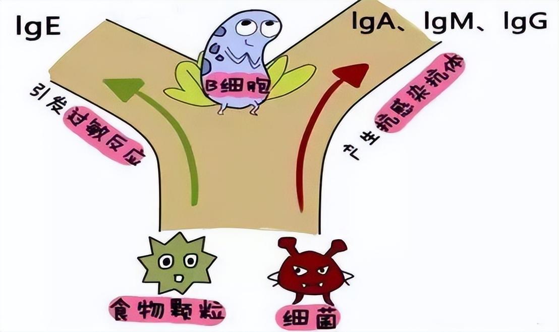 过敏证明图片（过敏这个现代病可大可小）