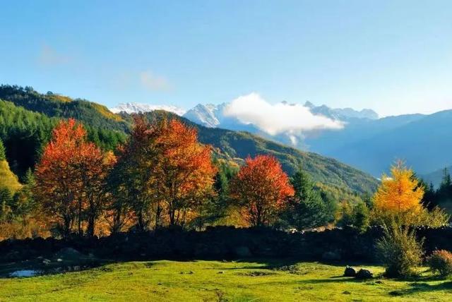 国庆去哪旅游好，国庆节去哪里旅游合适（10个宝藏景点get雅安最美秋色）