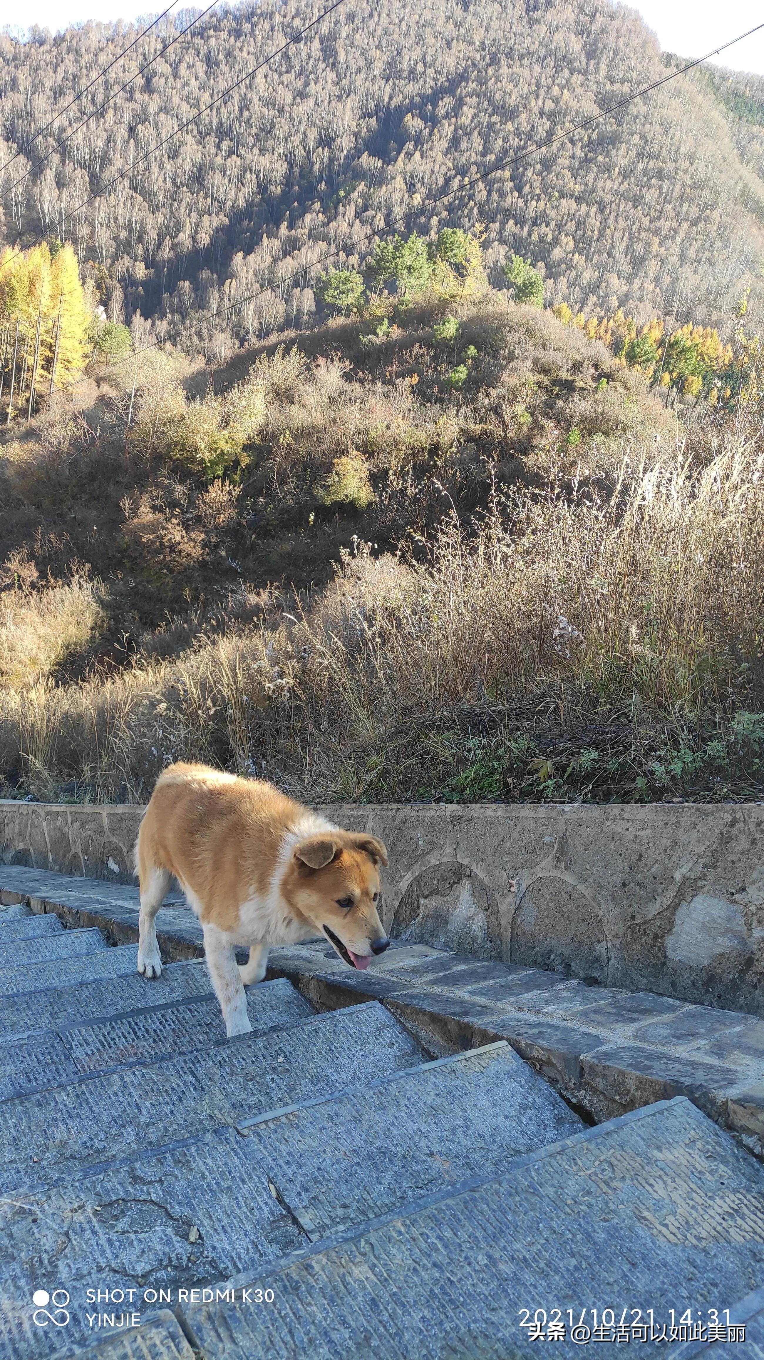 临沂旅游攻略二日游线路设计最新（山东临沂自驾3日游经典线路）