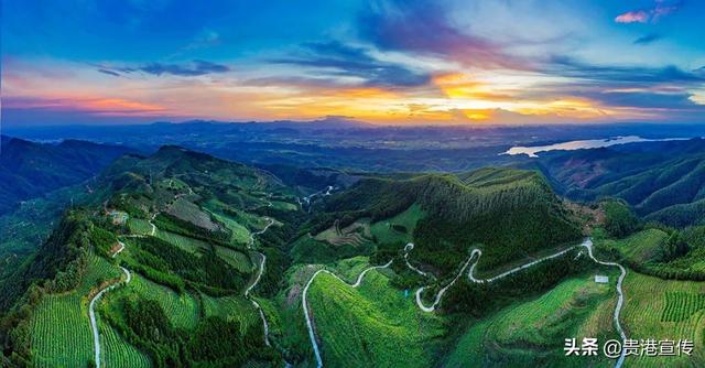 覃塘毛尖的冲泡方法，贵港覃塘毛尖（贵港市这地一产业“出圈”）