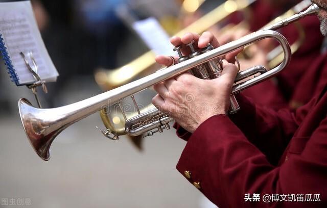 声乐的分类，声乐分几种类型（博文凯笛艺术瓜瓜谈音乐教育——音乐之美）