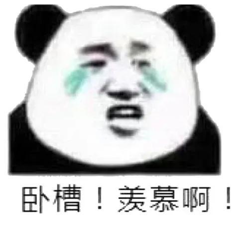 2035闵行吴泾，2035，轨交里程400公里