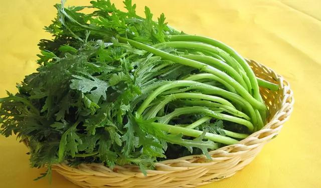 绿叶菜有哪些品种，绿叶蔬菜的营养价值（种常见绿叶菜，你吃对了吗）