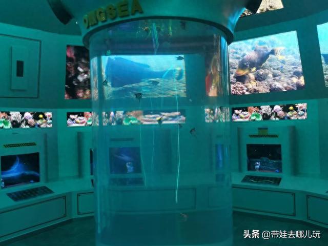 海洋餐厅、水族馆、爬行动物馆，奥森附近的这个商场太好玩了