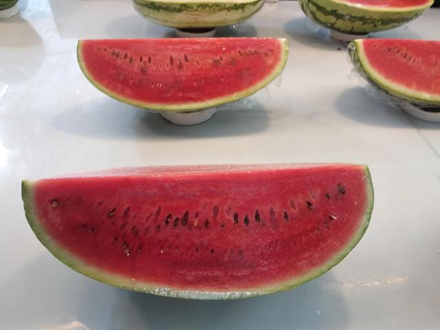 平时能上坟扫墓吗，今天上坟扫墓可以吗（祭扫时记得5事不做）