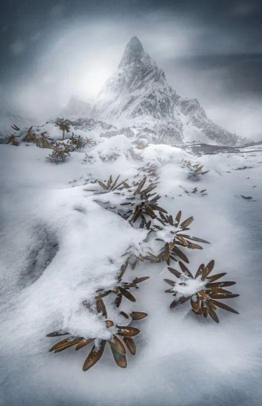 8kraw签约条件，8kraw签约需要准备什么（2022年Haida签约\u0026合作摄影师终选名单）