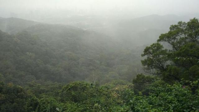 附近一日游景点自驾游，宁波周边自驾一日游景点推荐（广东1日自驾游休闲好去处推荐）