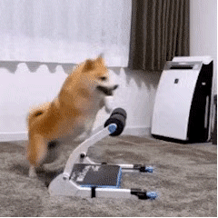 沉迷学习日渐消瘦，搞笑/头像/沉迷学习,日渐消瘦.微信（表情包/沉迷学习）