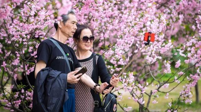 表达牵手很幸福的句子，牵手瞬间幸福的句子（人生最幸福的事，牵手到白头）