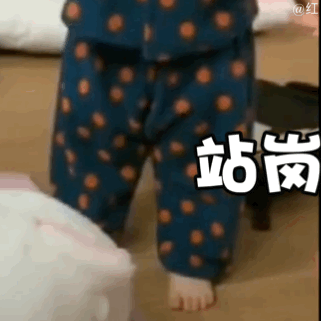 单身狗表情包，微信头像，单身狗表情包（可爱搞笑的表情包：你是单身狗）