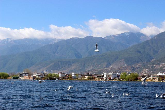 会议旅游，会议团接待细节及流程！干货满满，建议收藏