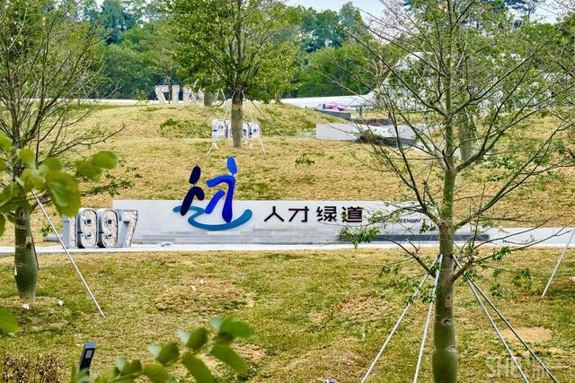 深圳有哪些好玩的地方，深圳有哪些好玩的地方及美食街（深圳这22条绿道，真的美）