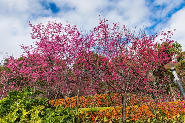 去厦门必去的几个地方，厦门必去的几个景点（这8个好玩又好拍的免费游玩圣地）